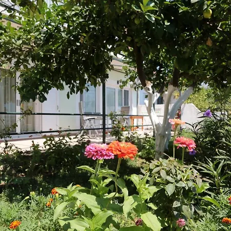 Apartment Ifigenias Agios Petros (Lefkada)